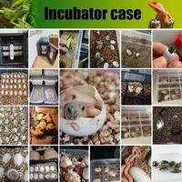Incubateurs électriques d'œufs de reptiles Machine à couver les oiseaux de caille 16L 23L 33L 48L 78L Capacités pour hôtel domestique autoportant