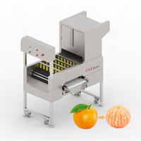 Machine à peler les agrumes électrique automatique, machine à peler les oranges pour les applications d'usine de transformation de conserves et de vineries
