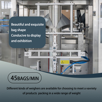 Ligne de remplissage, scellage et emballage verticale à grande vitesse pour glace en tubes et glaçons de 1KG et 2KG, pour l'hôtellerie, la restauration et l'industrie du glace, avec pesage à deux têtes