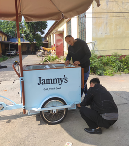 Bicicletta per Gelati di Nuova Concezione, Triciclo per la Vendita di Bevande Fredde e Gelati all'Aperto in Strada - Product Image 6