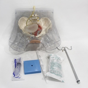 Modèle d'entraînement à la cathétérisme féminin en PVC écologique, structure de l'urètre et de la vessie pour l'enseignement des opérations de cathétérisme en soins infirmiers CE/ISO/ROHS/CNAS - Product Image 1