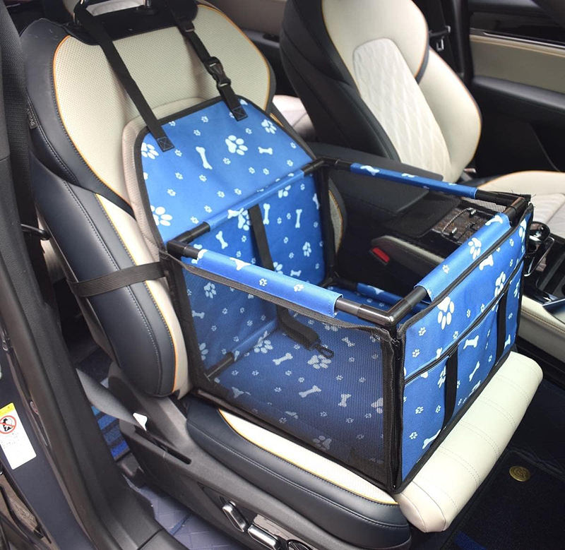 กระดูกสีฟ้า