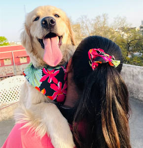 وشاح رأس للكلب والحيوانات الأليفة بطبقتين مطبوع حسب الطلب من القطن بنسبة 100% مجموعة من الأوشحة - Product Image 2