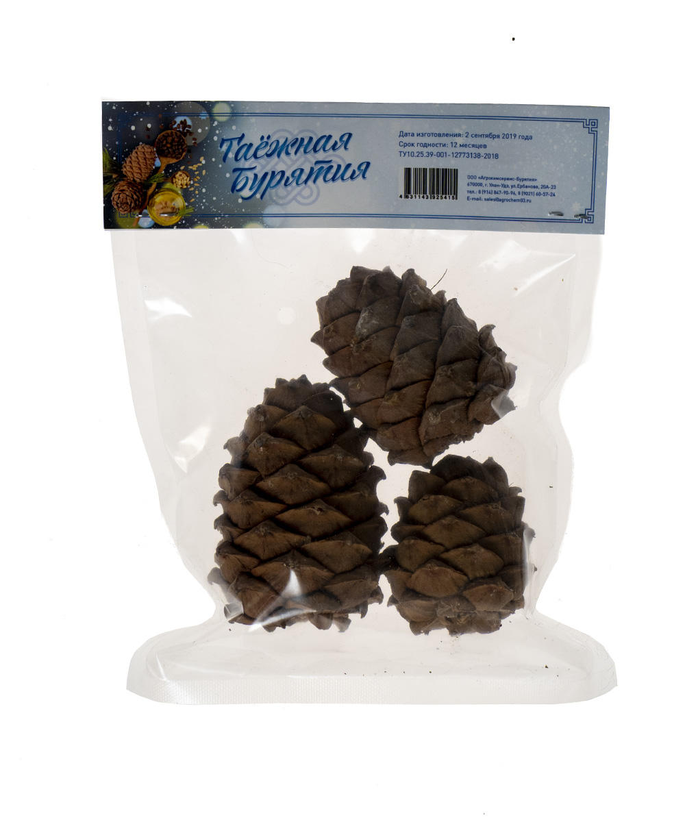 Buryatiya Таежная Страна пищевые сосновые орехи