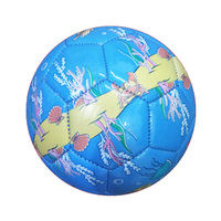 Mini ballon de football classique en mousse EVA, motif animaux marins, couleur rouge porte-bonheur, taille deux, pour fabricants de produits sportifs