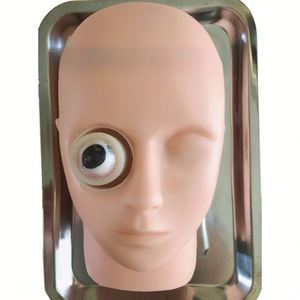 KyrenMed Ophthalmic Surgery Practice Model Animal Eye Practice Silicone Ophthalmic Head Model Ultrasonic <strong>Phacoemulsification</strong> - Product Image 1