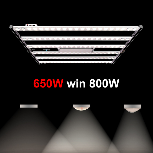 Samsung LM301H Full Spectrum Led Grow Light Koray 700W G80 Led Grow Light for Home Indoor Gardening