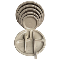 Assiettes en Fibre de Coque de Riz de 7 Pouces, Écologiques, Robustes, Légères, Compostables, Biodégradables, Sans BPA, Jetables, Compatibles Micro-ondes