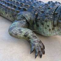 Accessoires pour activités de Zoo, sculpture d'animaux, robot rampant, taille réelle, marche étanche, crocodile animatronique à vendre