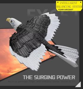 2.4G Rc Avion Simulation <span class=keywords><strong>Envergure</strong></span> <span class=keywords><strong>Aigle</strong></span> Avion RC Jouets Planeurs Enfants Cadeaux Contrôle Remoto Juguetes Modèle D'avion - Product Image 6
