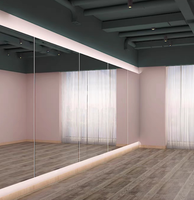 Miroir portable personnalisable et robuste pour salle de sport, studio de danse, scène, voyage – Ajustement sécurisé pour salle de bain, cuisine, salon, couloir, salle à manger