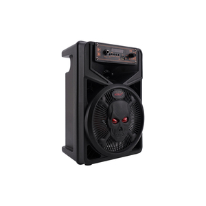 SONAC TG-5806 Nuova Scheda Audio Arturia, Altoparlante PA da 8 Pollici Alimentato, Casse Acustiche con Trolley - Product Image 2