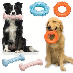 Anneaux en caoutchouc pour animaux de compagnie, vente chaude, pour chiens de taille moyenne et grande, Golden Retriever, résistants à l'usure et aux morsures - Product Image 1