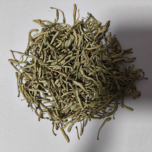 Popular Green Honeysuckle Flower for Tea Other Agriculture Products