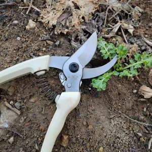 Cisailles de taille-basquet Butterfly 109B, lame de 40 mm en acier inoxydable, forme de bec, pour l'élagage des arbres fruitiers et l'entretien horticole du jardin - Product Image 2