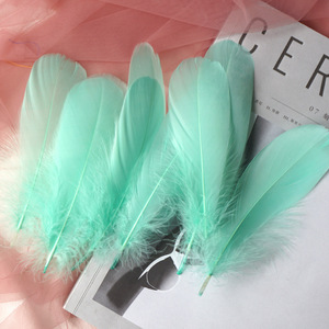 10-18Cm Nhuộm Lông Ngỗng Tự Làm Dreamcatcher Tự Nhiên Chất Lượng Cao Lông Phụ Kiện Lễ Hội Lông Cho Hàng Thủ Công - Product Image 6