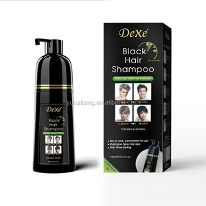 Wholesale Organic Natural Herbal Non Allergic Hair Dye Shampoo Hair Black Ginger Extract Hair Color Shampoo