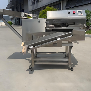 Séparateur de <span class=keywords><strong>blanc</strong></span> <span class=keywords><strong>d</strong></span>'œuf et de jaune <span class=keywords><strong>d</strong></span>'œuf industriel à forte demande, séparateur de <span class=keywords><strong>blanc</strong></span> <span class=keywords><strong>d</strong></span>'œuf, séparateur de protéines nasales, séparateur de <span class=keywords><strong>blanc</strong></span> <span class=keywords><strong>d</strong></span>'œuf - Product Image 3