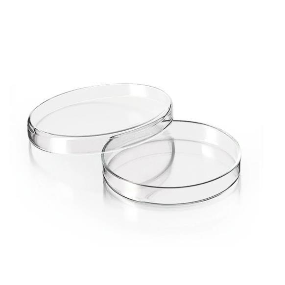 All Sizes Laboratory Use Borosilicate Glass