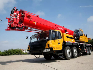 Grue de levage neuve de marque Hoist Crane, grue hydraulique de camion de petite taille 25T <span class=keywords><strong>STC250</strong></span> - Product Image 1