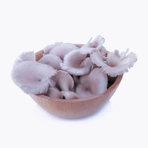 Cina HACCP BRC <span class=keywords><strong>IQF</strong></span> prodotto a base di funghi ostrica per neonati congelato - Product Image 2