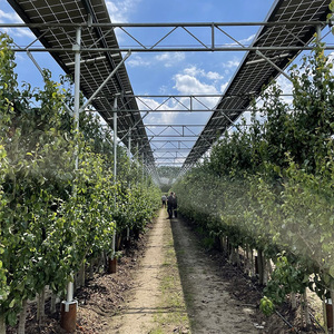 <span class=keywords><strong>Energia</strong></span> <span class=keywords><strong>rinnovabile</strong></span> 10kW sistema solare ibrido per progetti di casa e serra - Product Image 6