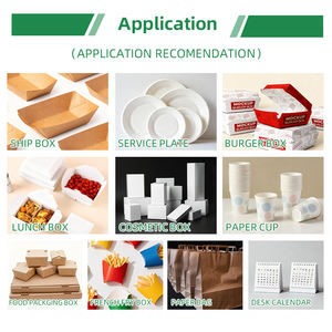 Carton Kraft Chimique 150gsm 350gsm, simple face PE, 889*1194mm 700*1000mm, résistant à l'humidité, recyclé pour emballage alimentaire - Product Image 5