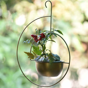 Maceta pequeña de oro colgante de Metal, macetas colgantes, maceta redonda, aspecto sólido para el hogar y el balcón, jardín, macetas de hierro Vintage - Product Image 4