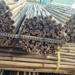 Poteaux en bambou naturel du Vietnam grand tube de poteau en bambou traité pour la décoration intérieure et les projets de jardin du fournisseur - Product Image 3