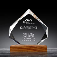 Trophée de récompense en cristal haut de gamme personnalisé HBL avec base en bois pour événements d'entreprise et souvenirs