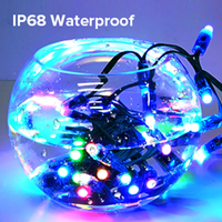 Noël extérieur étanche arc-en-ciel couleur Dc 5v 12v 12mm Ws2811 Ws2812 noir rvb adressable Led Pixel Module Led guirlande lumineuse