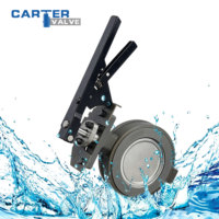 Válvula de Mariposa de Doble Offset con Asiento Metálico CF8, Brida RF, Manual, Exd IP65, Bidireccional, Cero Fugas, para Vapor, Aceite, Gas, Agua, ANSI, OEM