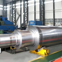 Arbre de rotor en acier forgé à usage intensif personnalisé arbre forgé à bride d'éolienne