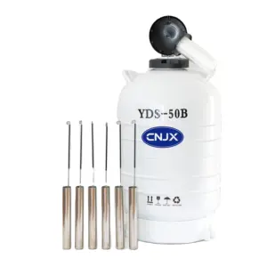YDS 50 L容量液氮货物集装箱