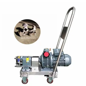 Sanitary Positive Displacement Stainless Steel Portable Lpg Transfer Pump For Factory Price