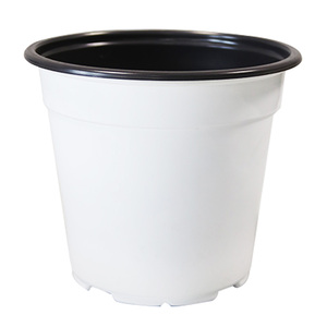 Pots de semis biodégradables fabriqués en Chine pour les plantes de pépinière - Product Image 4