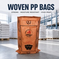 Sac tissé en PP robuste en polypropylène pour emballage de charbon de bois, imprimé sur mesure pour briquettes, vente en gros