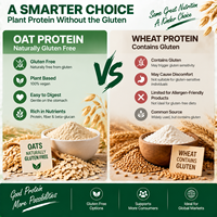 Poudre de Protéine d'Avoine Sans Gluten Certifiée Sans OGM Protéine Végétale Végétalienne pour les Personnes Hypoallergéniques Sans OGM Provenant de Distributeurs de Confiance