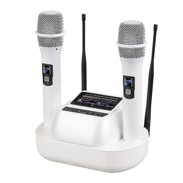 Professional UHF Wireless PA System Microphone 2 Handheld High Quality Microphone Karaoke Indoor pa System Wireless Transceiver