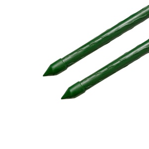 China Fabrikant Greenhouse <span class=keywords><strong>Plastic</strong></span> Gecoate Metalen Tuin Stakes Pijp <span class=keywords><strong>Stake</strong></span> - Product Image 2