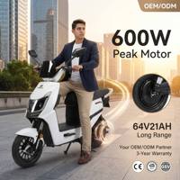 Sepeda Listrik 14 Inci 350W 48V OEM Rem Cakram Depan Tromol Belakang 30km/jam 40km Jarak Tempuh Komuter Dewasa Kota CE Murah Harian Urban Entry Level Jarak Jauh