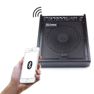 Amplificateur de basson Coolmusic 100 watts DM100 avec égaliseur 3 bandes et entrée USB pour clavier et haut-parleur - Product Image 5