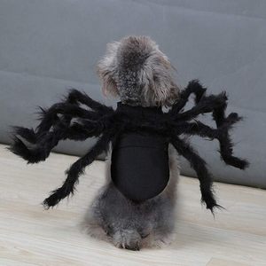 Costume d'araignée pour petits chiens et chats, déguisement de fête d'Halloween, fausse fourrure noire, vêtements pour animaux de compagnie de taille moyenne - Product Image 3