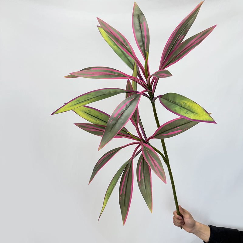 Purple edge and green