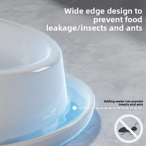 Bol en céramique pour <span class=keywords><strong>chat</strong></span>, <span class=keywords><strong>anti</strong></span>-fourmis, bol pour nourriture pour <span class=keywords><strong>chat</strong></span>, protection du cou inclinée, <span class=keywords><strong>anti</strong></span>-renversement, bol pour animaux de compagnie pour chats et chiens - Product Image 4