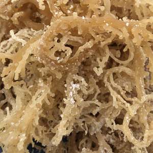 Musgo de mar Natural Secado de Vietnam Materia prima culinaria Premium Ideal para restaurantes Cocinas y uso de bebidas - Product Image 1