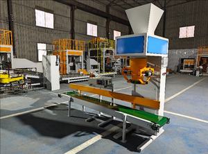 Machine d'emballage automatique de sac de farine de manioc en poudre de curcuma d'asphalte froid de 50kg 25kg - Product Image 6