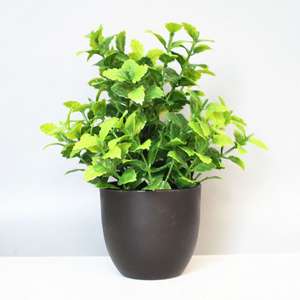 Plantes vertes artificielles de haute qualité <span class=keywords><strong>en</strong></span> gros, décoration intérieure et extérieure, arbres d'<span class=keywords><strong>eucalyptus</strong></span> <span class=keywords><strong>en</strong></span> plastique <span class=keywords><strong>en</strong></span> <span class=keywords><strong>pot</strong></span>, petites plantes <span class=keywords><strong>en</strong></span> <span class=keywords><strong>pot</strong></span> - Product Image 5