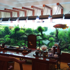 Fabriek Directe Verkoop Outdoor Grote Acryl <span class=keywords><strong>Aquarium</strong></span>, 2020 Nieuwe Producten Oceaan Wereld Acryl <span class=keywords><strong>Aquarium</strong></span> <span class=keywords><strong>Aquarium</strong></span> @ - Product Image 5