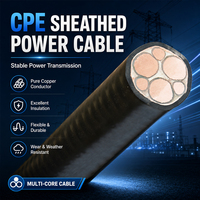 BP-YJVP2 0.6/1kV 6 Core Copper Power Cable Shielded Steel Tape Armoured 3*185+3*95mm² for Industrial Motor Drive